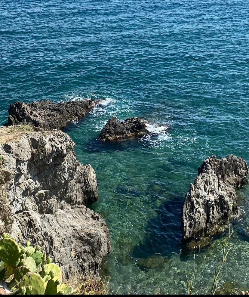 カネLes Terrasses Du Portアパートメント エクステリア 写真
